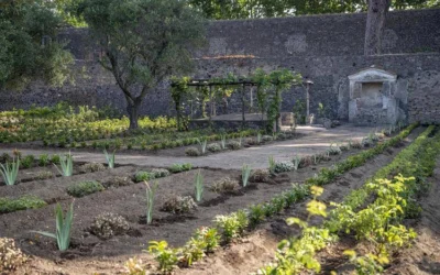 Pompei, inaugurata la Casa del Giardino di Ercole