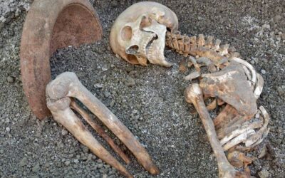 Pompei, scavi nella necropoli di Porta Stabia: l’IA ricostruisce la fuga dall’eruzione